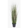 Künstliches Gras Fuchsschwanzgras SAMMI, grün, 65cm