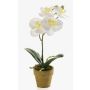 Kunstorchidee Phalaenopsis SETH im Dekotopf, creme, 25cm
