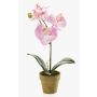 Kunstorchidee Phalaenopsis SETH im Dekotopf, rosa, 25cm