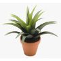 Künstliche Agave decipiens SEDA im Tontopf, grün, 25cm, Ø25cm