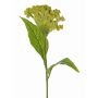 Kunstblume Hahnenkamm ANUBIS, grün-gelb, 60cm, Ø14cm