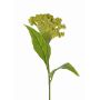 Kunstblume Hahnenkamm ANUBIS, grün-gelb, 60cm, Ø14cm