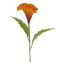 Kunstblume Hahnenkamm ANUBIS, orange, 60cm, Ø14cm