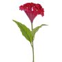 Kunstblume Hahnenkamm ANUBIS, violett-rot, 60cm, Ø14cm