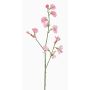 Dekoblume Lathyrus ASFALOTH, rosa, 65cm, Ø3-5cm