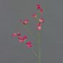 Dekoblume Lathyrus ASFALOTH, pink, 65cm, Ø3-5cm