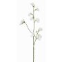 Dekoblume Lathyrus ASFALOTH, weiß, 65cm, Ø3-5cm