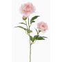 Unechte Pfingstrose ONYX, creme-rosa, 75cm, Ø10-13cm