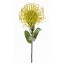 Kunst Nadelkissen Protea BAILY, gelb-grün, 55cm, Ø10cm