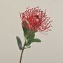 Kunst Nadelkissen Protea BAILY, rot, 55cm, Ø10cm