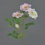 Kunstzweig Wildrose BALOU, weiß-rosa, 60cm, Ø7-9cm