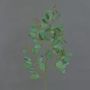 Deko Eukalyptus Zweig COBAR, blühend, crossdoor, grün, 65cm, Ø1,5cm