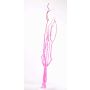 Dekozweige Mitsumata GERY, 3 Stück, getrocknet, rosa, 105cm