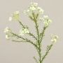 Künstliche Wachsblume AISHA, creme-weiß, 65cm, Ø1-1,5cm