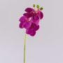 Dekozweig Phalaenopsis Orchidee OPHELIA, pink, 40cm, Ø7-8cm