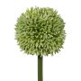 Künstliche Blume Allium MENKES, grün, 65cm
