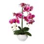 Künstliche Phalaenopsis Orchidee KASDA, Keramiktopf, Wurzeln, pink, 50cm