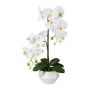 Künstliche Phalaenopsis Orchidee KASDA, Keramiktopf, Wurzeln, weiß, 50cm