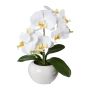 Künstliche Phalaenopsis Orchidee KASDA, Keramiktopf, weiß, 35cm