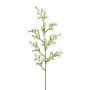 Kunstblumen Zweig Sternblume KLIRMO, weiß, 55cm, Ø1,5cm