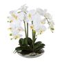 Kunst Phalaenopsis Orchidee MANULO, Keramikschale silber, Wurzeln, weiß, 40cm