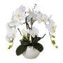 Kunst Orchidee Korkenzieherweide Gesteck LULUDI, Keramiktopf weiß, Wurzeln, weiß, 55cm