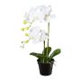 Künstliche Phalaenopsis Orchidee WENJAN, Dekotopf, Wurzeln, weiß, 55cm
