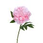 Dekoblume Pfingstrose AKIHLA, rosa-creme, 60cm