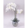 Textil Phalaenopsis Orchidee KAREN, Dekotopf, gefroren, weiß, 60cm