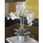 Textil Phalaenopsis Orchidee KAREN, Dekotopf, gefroren, weiß, 60cm