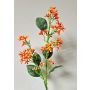 Kunst Viburnum Zweig LABIBA mit Knospen, orange, 60cm, Ø2,5-5cm
