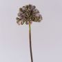 Dekoblume Hortensie MANDISA, grün-rosa, 45cm, Ø16cm