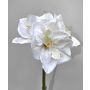 Künstliche Blume Amaryllis MARKUNO, creme-weiß, 65cm, Ø13cm