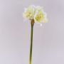 Künstliche Blume Amaryllis MARKUNO, creme-weiß, 65cm, Ø13cm