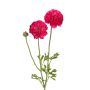 Kunstzweig Ranunkel ALIHKA, pink, 55cm