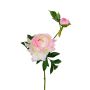 Kunstzweig Pfingstrose ALINAMA, creme-rosa, 55cm