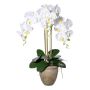 Kunst Phalaenopsis Orchidee FRIMTOR im Terracottatopf, Wurzeln, weiß, 75cm