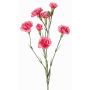 Dekozweig Nelke PIARA, pink, 60cm, Ø3-5cm