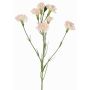Dekozweig Nelke PIARA, zartrosa, 60cm, Ø3-5cm