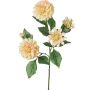 Dekozweig Dahlie QUINKA, creme-rosa, 70cm