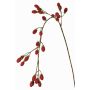 Künstlicher Zweig Brombeere URUMA mit Früchten, rot, 100cm