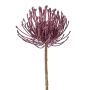 Deko Blume Nadelkissen Protea ZIRMO, lila, 50cm