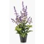 Künstliche Kräuter Salbei SWORTA im Dekotopf, Blüten, lavendel, 45cm