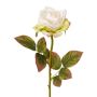 Deko Blume Rose DRINT, Trockenoptik, weiß-grün, 60cm, Ø10,5cm