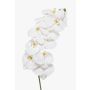 Phalaenopsis Orchideenzweig künstlich XURI, weiß, 95cm, Ø12,5cm