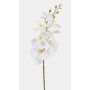 Phalaenopsis Orchideenzweig künstlich AXELOR, weiß, 85cm