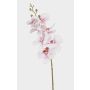 Phalaenopsis Orchideenzweig künstlich AXELOR, weiß-rosa, 85cm