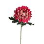 Dekoblume Chrysantheme ASAHLIA, dunkelrosa, 65cm