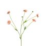 Kunstzweig Flockenblume TAOTAO, hellrosa, 65cm, Ø4-5cm