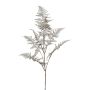Kunstzweig Asparagus Plumosus BLORVI, antik-silber, 90cm